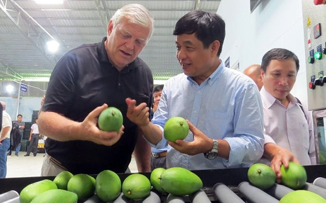  Bảo đảm chất lượng sau thu hoạch nhờ dây chuyền sản xuất hiện đại tại Ðồng Tháp.