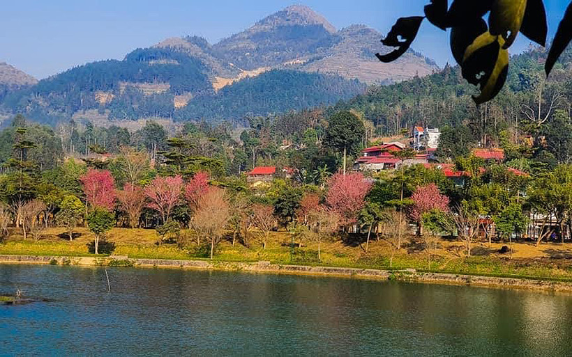 “Thập lý đào hoa” trên “cao nguyên trắng” Bắc Hà