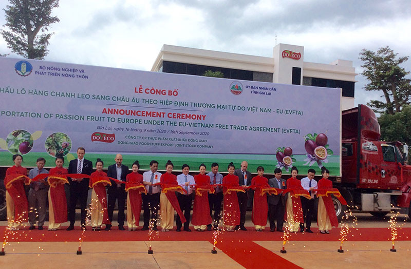 Thứ trưởng Lê Quốc Doanh cùng các đại biểu cắt băng phát lệnh xuất phát đoàn xe chở lô hàng chanh leo sang châu Âu theo Hiệp định EVFTA. 