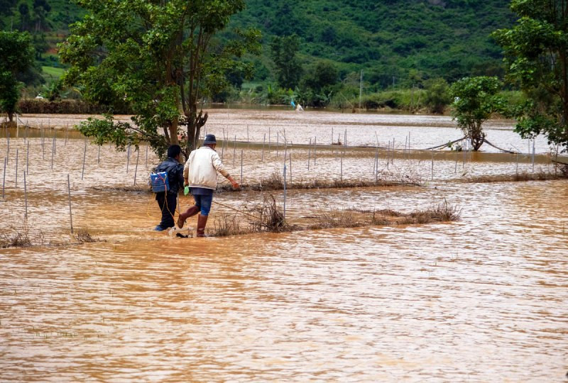 Đến khoảng 10 giờ sáng nay, tại xã Hiệp An, nước vẫn chưa rút hết.