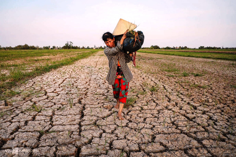 Ứng dụng công nghệ 4.0 vào dự báo hạn mặn tại ĐBSCL, giúp người dân giảm thiểu rủi do hạn mặn (Ảnh minh họa: Vnexpress).