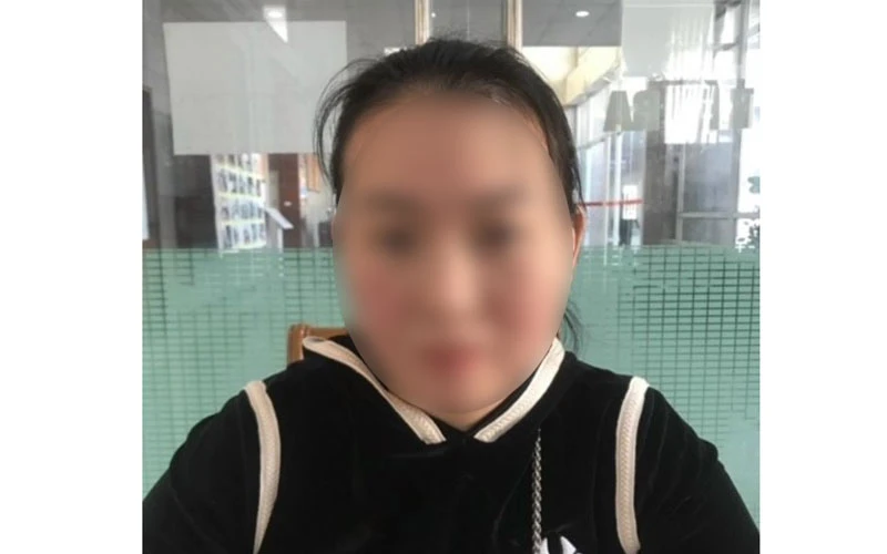 Đối tượng Phạm Thu Hương.