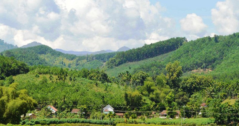 Vùng miền núi tỉnh Quảng Ngãi thường hay xảy ra động đất.