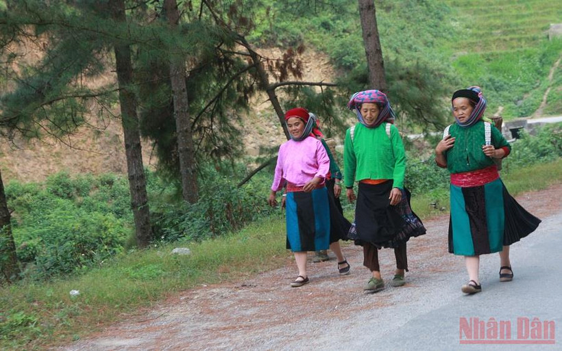 Cải thiện đời sống, sinh kế cho người dân là một trong những ưu tiên của chương trình ABP. (Ảnh minh họa : HOÀNG LINH)