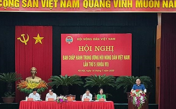 Các đại biểu tham dự Hội nghị.