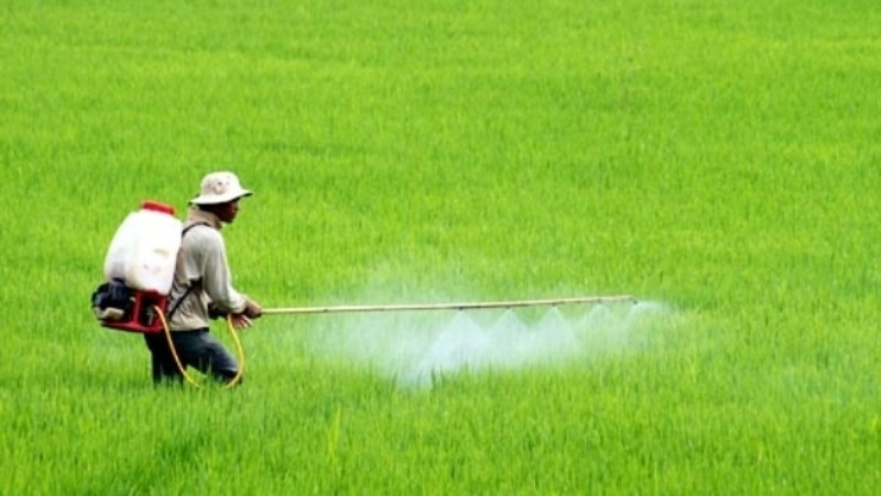 Một nền nông nghiệp sạch thì phải làm sáng tỏ trong khâu sử dụng phân bón và thuốc bảo vệ thực vật.