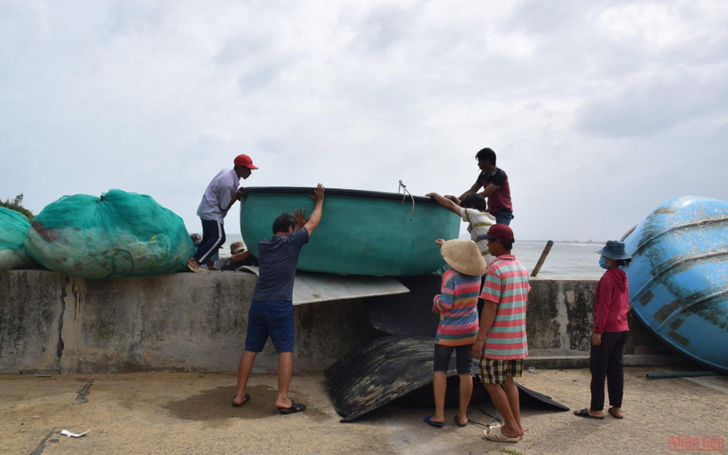 Ngư dân thôn 2, xã Xuân Hải, thị xã Sông Cầu, Phú Yên hỗ trợ nhau đưa 300 thuyền thúng lên bờ tránh bão số 9.