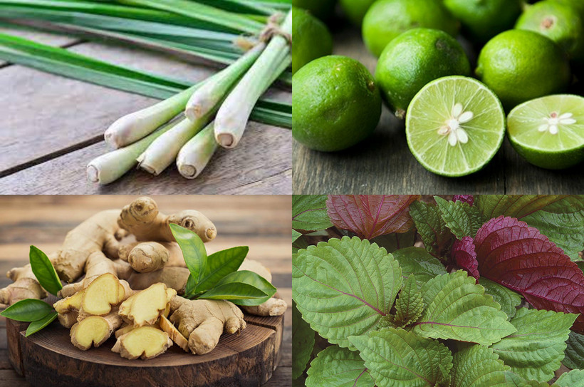 F0 tăng nhanh, sả chanh "cháy hàng"