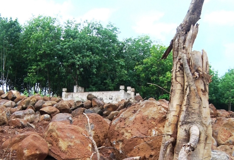 Di tích lịch sử - văn hóa cấp tỉnh Lăng mộ cụ Lâm Hoằng bị kẻ gian đào bới tan hoang.