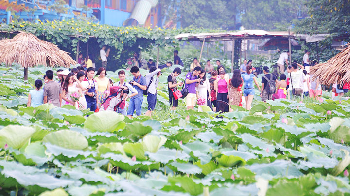 Khu vực hồ Tây nơi thường xảy ra các hành vi xâm hại. Ảnh: NG.HẢI