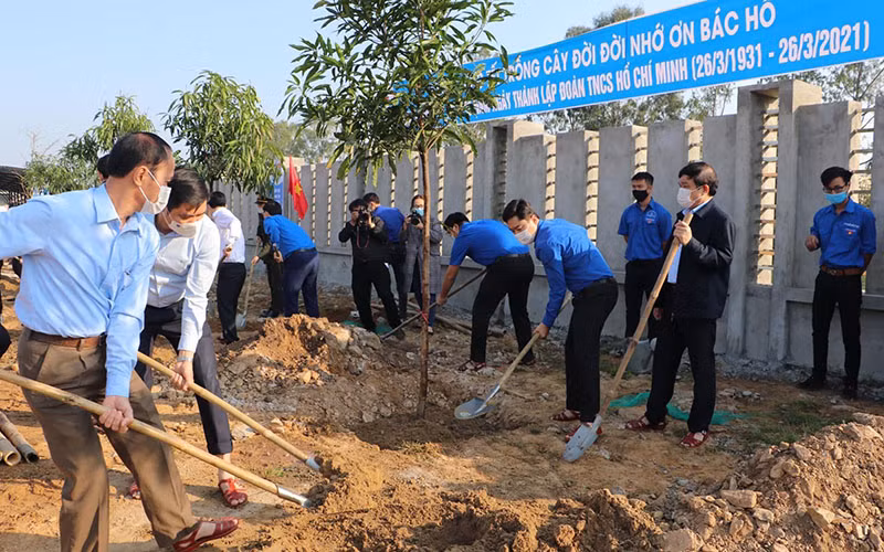 Trồng cây xanh trong khuôn viên dự án Trung tâm Thanh thiếu niên tỉnh Nghệ An. (Ảnh: Quang Thành)