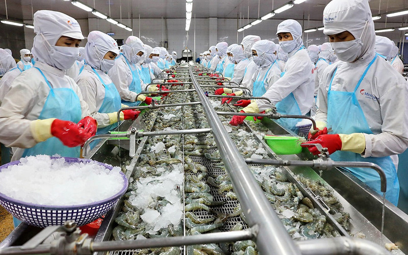 Xuất khẩu thủy sản đang gặp khó.