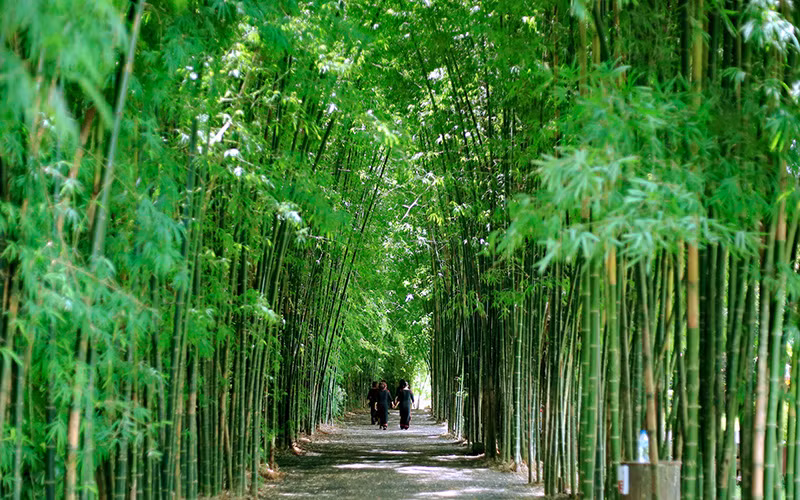 Cảnh quan thiên nhiên tươi mát tại Khu du lịch Kotam.