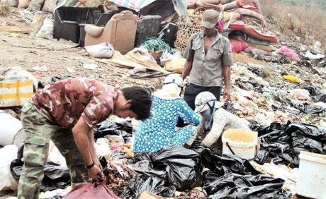 Bám rác mưu sinh.