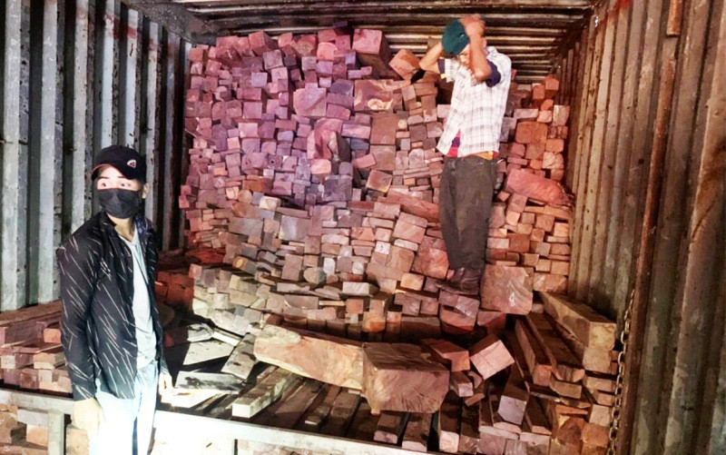 Tang vật gỗ lậu bị thu giữ.