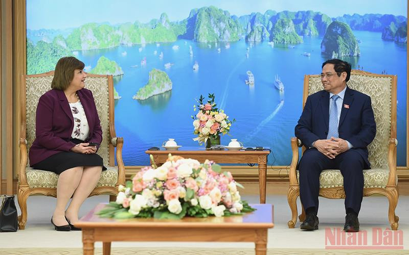 Thủ tướng Phạm Minh Chính tiếp Đại sứ Ai Cập tại Việt Nam Amal Abdel Kader Elmorsi Salama. 