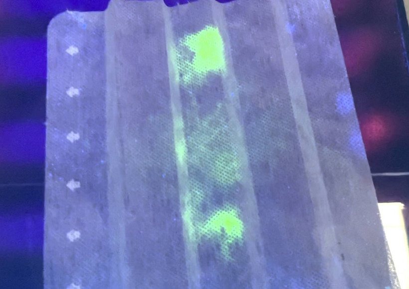 Mẫu dịch chứa virus SARS-CoV-2 phát sáng trên tấm vải lọc dùng làm khẩu trang dưới tia cực tím. Nguồn: Trường ĐH Kyoto.
