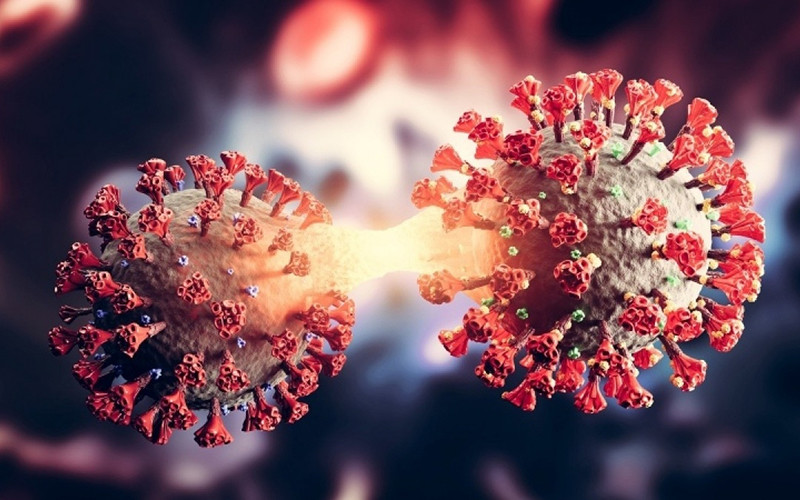 Siêu biến thể mới có thể sẽ xuất hiện nếu Omicron và Delta lây nhiễm cùng lúc cho một người. (Ảnh minh họa: Getty-Bộ Y tế)