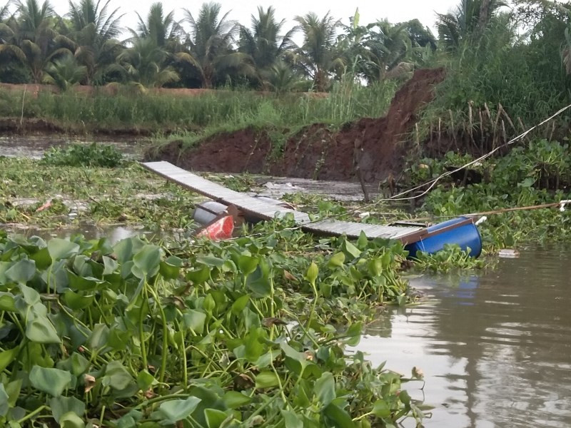 Sạt lở đất nhấn chìm bè cá gây thiệt hại bốn tấn cá giống.