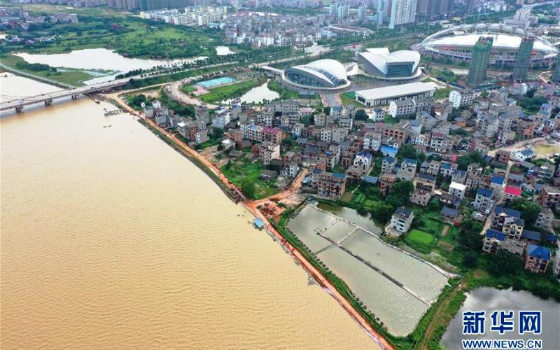 Đoạn đê thuộc thôn Giang Gia Lĩnh, đằng sau là Huyện Bà Dương, tỉnh Giang Tây. (Nguồn: Tân Hoa xã)