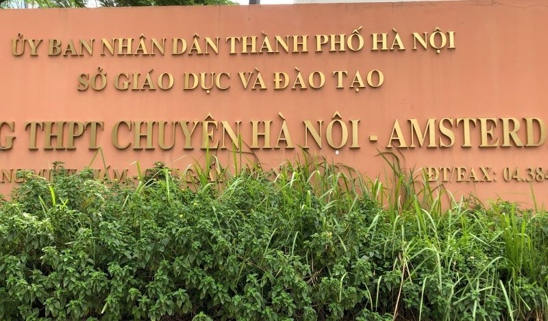 Tăng gần 30% học sinh đủ điều kiện dự thi vào lớp 6 Trường Hà Nội – Amsterdam