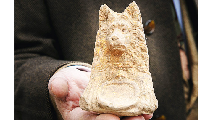 Tượng đầu chó đặc biệt