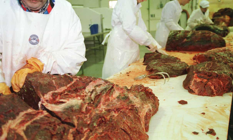 Nhu cầu thịt cá voi tăng ở Na Uy.