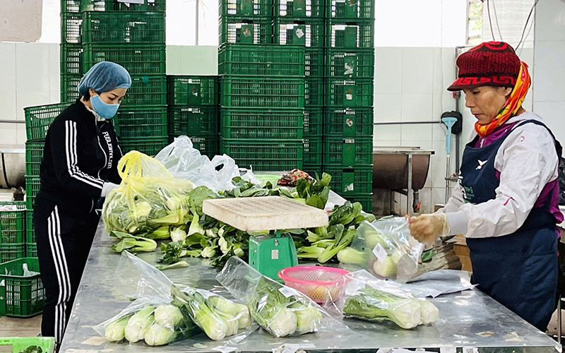 Sơ chế rau, củ, quả tại Hợp tác xã Yên Phú (Hưng Yên).