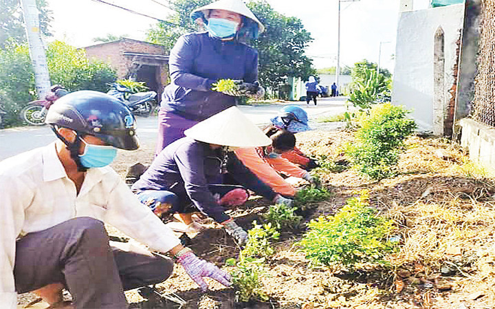 Người dân ấp Bến Đình, xã Tân Phú Trung trồng hoa dọc tuyến đường giao thông của xã.