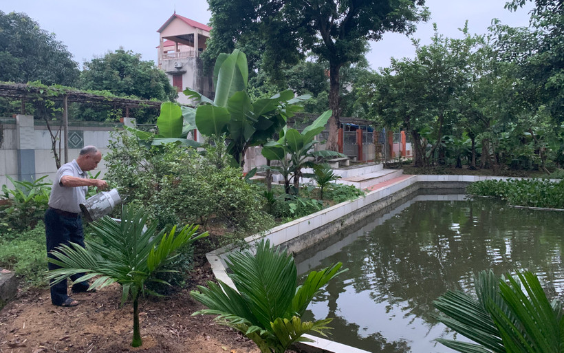 Hằng ngày, cựu chiến binh Đặng Đình Thuận đều tranh thủ thời gian rảnh rỗi để chăm sóc vườn rau.