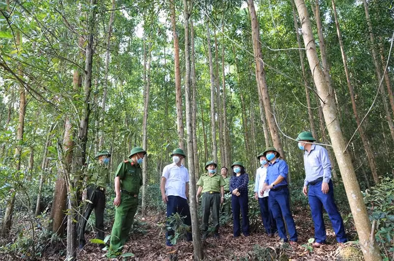 Lãnh đạo huyện Thạch Hà (Hà Tĩnh) kiểm tra công tác phòng, chống cháy rừng trong điều kiện nắng nóng gay gắt.