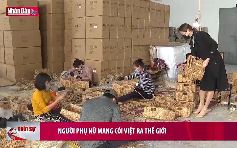 Người phụ nữ mang cói Việt ra thế giới
