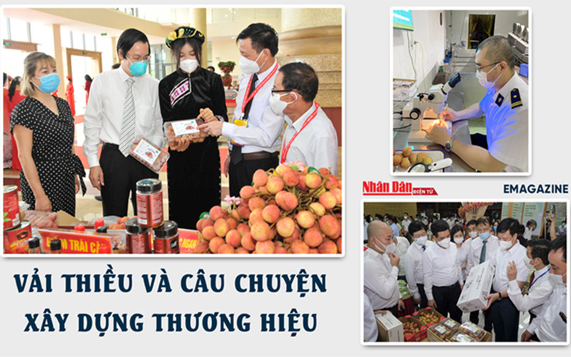 Vải thiều và câu chuyện xây dựng thương hiệu