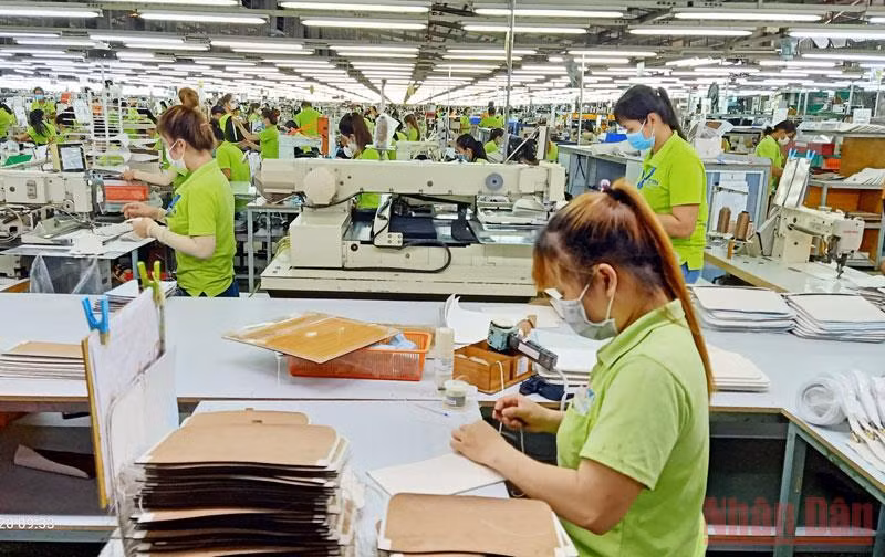 Người lao động tham gia bảo hiểm thất nghiệp được hỗ trợ theo Nghị quyết số 116/NQ-CP của Chính phủ.