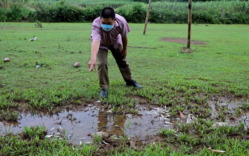 Người dân phát hiện cá chết dạt vào bờ suối Cái.