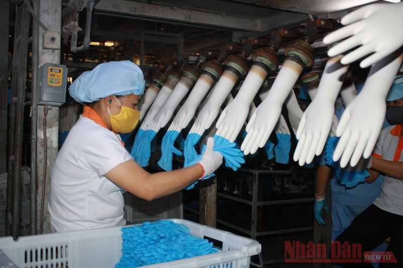 Dây chuyền sản xuất găng tay y tế của Công ty Cổ phần VRG Khải Hoàn. 