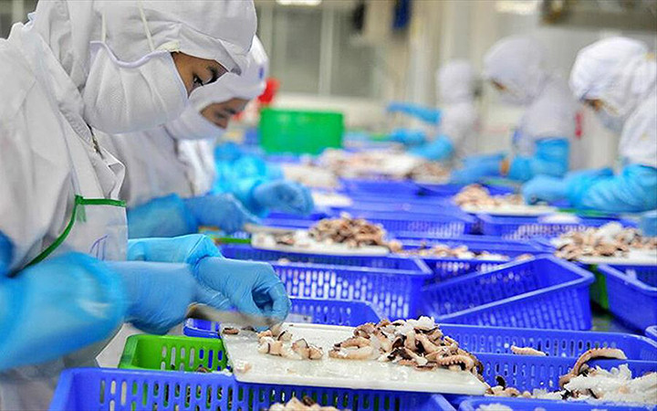 Lao động làm việc trong ngành thủy sản (Ảnh minh họa)