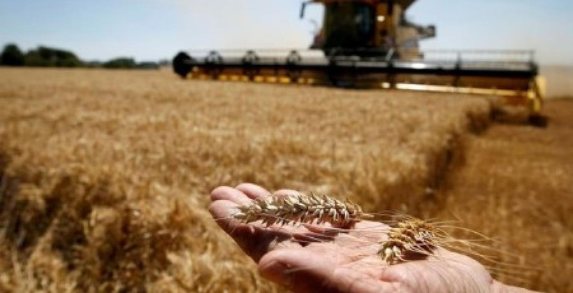 Ảnh minh họa. (Ảnh: Reuters)