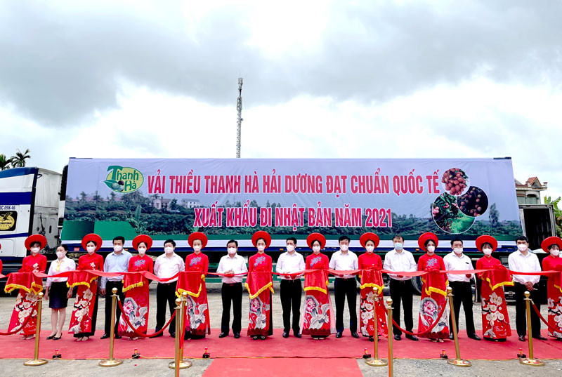 Cắt băng xuất khẩu lô vải quả đầu tiên đi Nhật Bản.