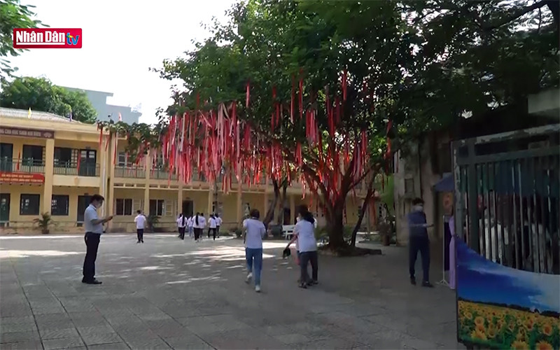 Cây điều ước và những mong muốn bình dị