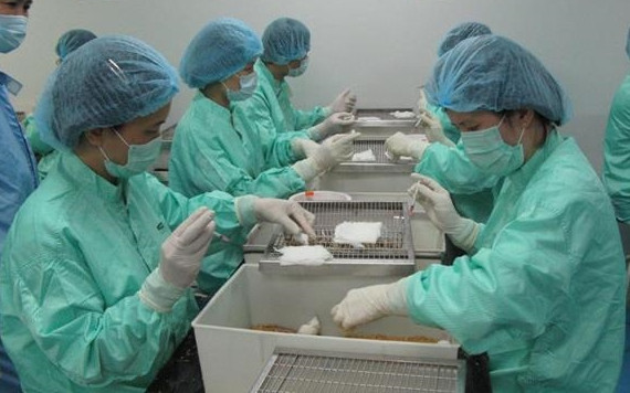 Đầu năm 2021, vaccine ngừa Covid-19 có thể thử nghiệm trên người