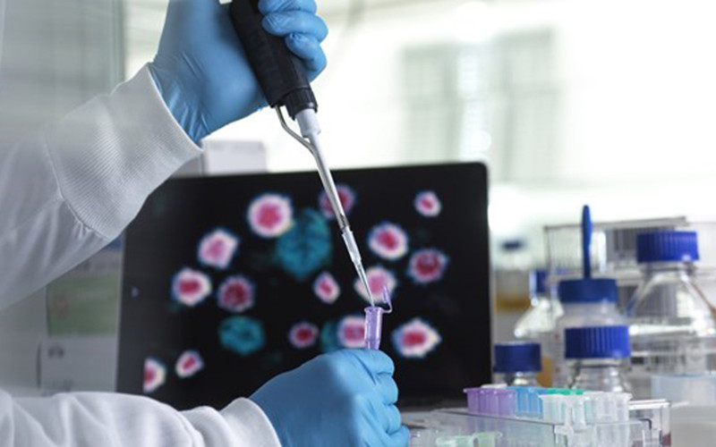 Ảnh minh họa. (Nguồn: Getty Images/TTXVN)