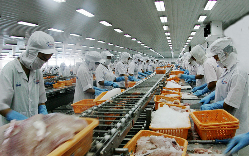 Chế biến thủy sản xuất khẩu tại Công ty cổ phần Xuất nhập khẩu thủy sản Cần Thơ (thành phố Cần Thơ). Ảnh: TRẦN QUỐC