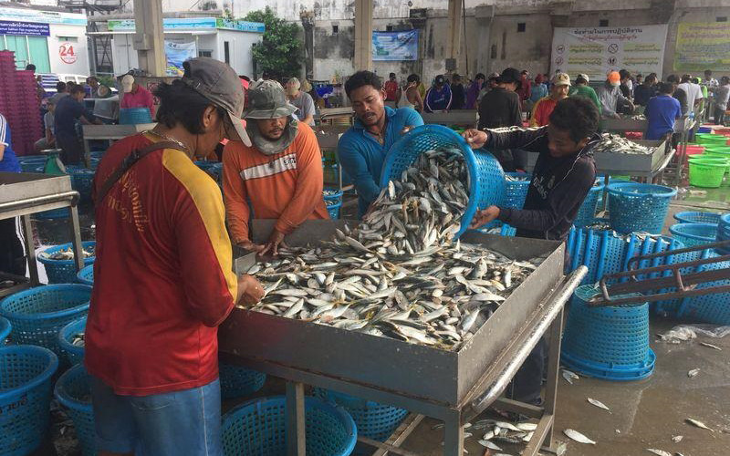 Lao động nhập cư làm việc tại một cảng cá ở tỉnh Samut Sakhon. (Ảnh: Reuters).