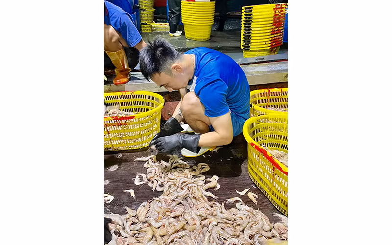 Hải Huy bán hải sản.