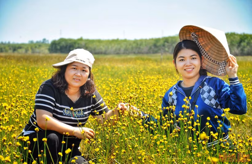 Du khách lại có dịp tham quan loài hoa đặc biệt hoàng đầu ấn.