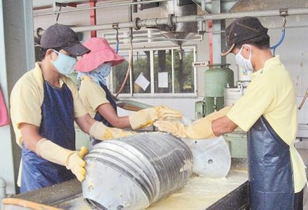 Cần quan tâm đến môi trường lao động để bảo đảm sức khỏe cho người lao động.