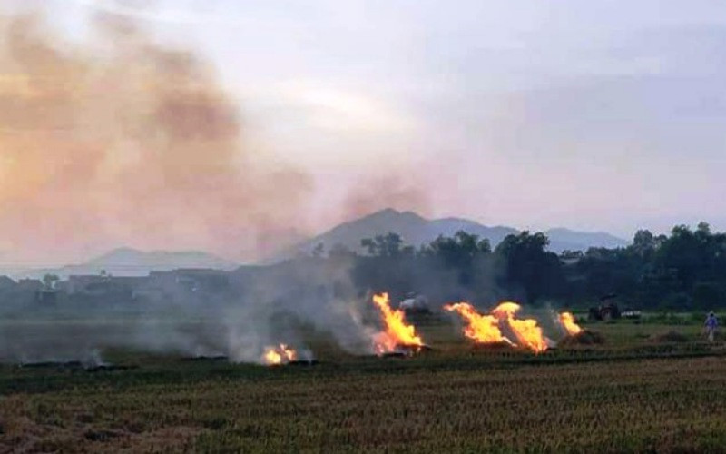 Người dân huyện Mỹ Đức đốt rơm rạ sau thu hoạch.