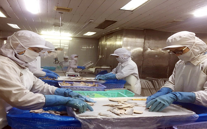 Công ty cổ phần Xuất nhập khẩu thủy sản Quảng Ninh luôn tuân thủ quy trình kỹ thuật theo tiêu chuẩn HACCP.