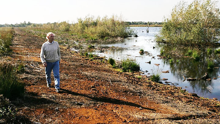 Kế hoạch năm điểm kêu gọi bảo vệ diện tích đất ngập nước ở Đức. Ảnh: DER SPIEGEL